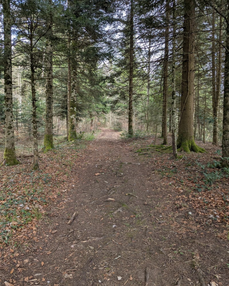 En passant par Plaimbois - Plaimbois-du-Miroir