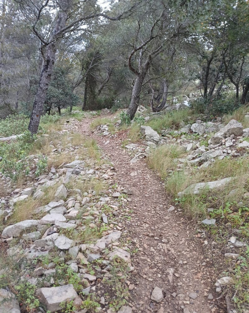 Gardiole, départ parcours de santé, par Pioch Madame - Frontignan