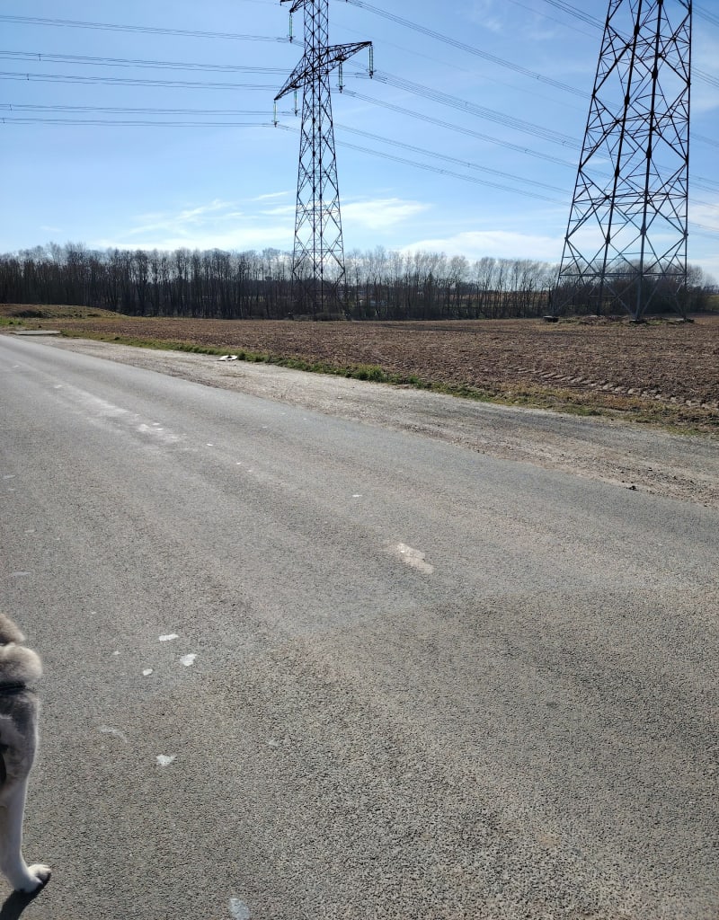 Rando mi-forêt mi-route autour de Grugny - Étaimpuis