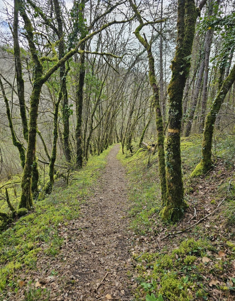 Sentier Eyvigues et le Rouquet - Salignac-Eyvigues