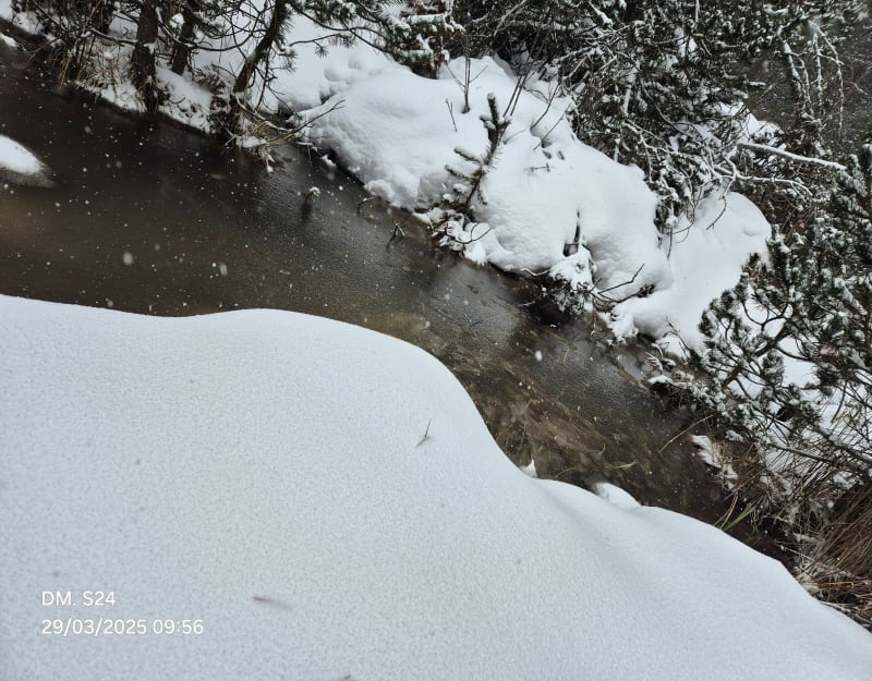 Rando raquettes Les Airelles - Font-Romeu-Odeillo-Via