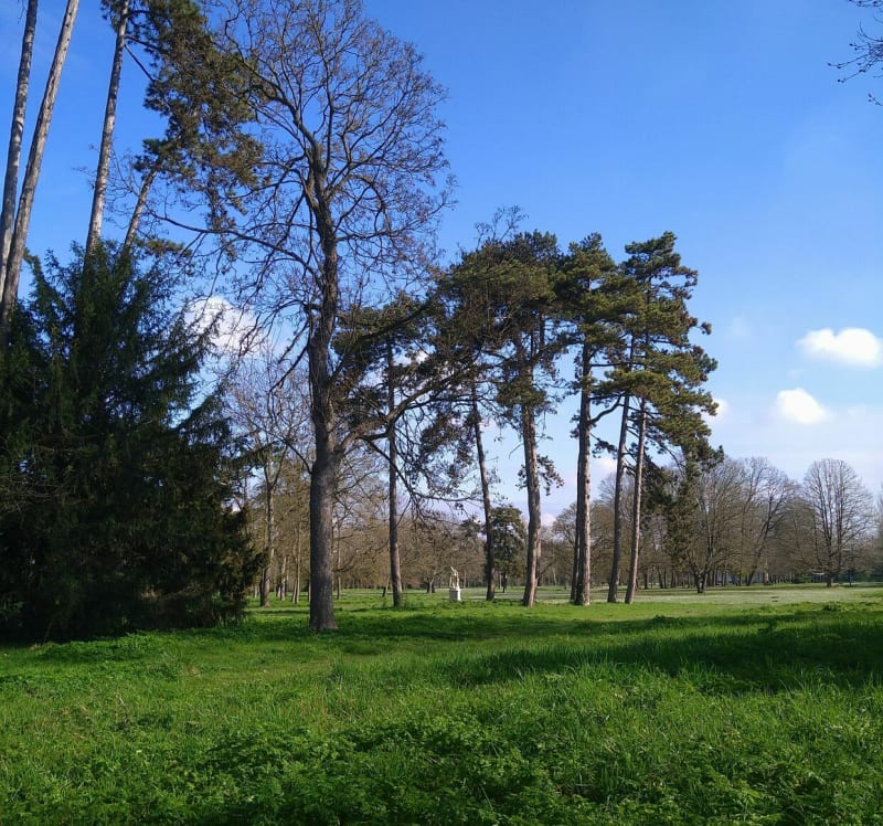 Bois de Saint Cucufa et Forêt de Malmaison - Marnes-la-Coquette