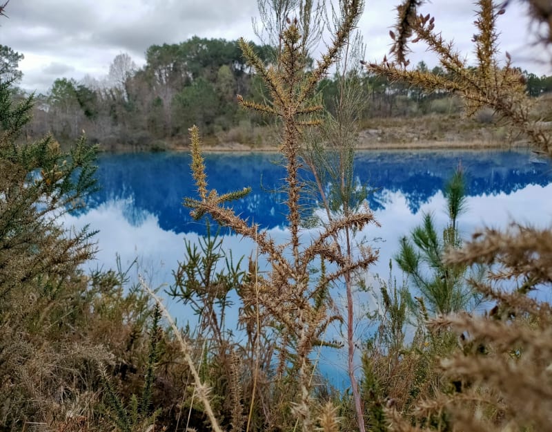 Lac de Touverac et Charbonnière - Touvérac