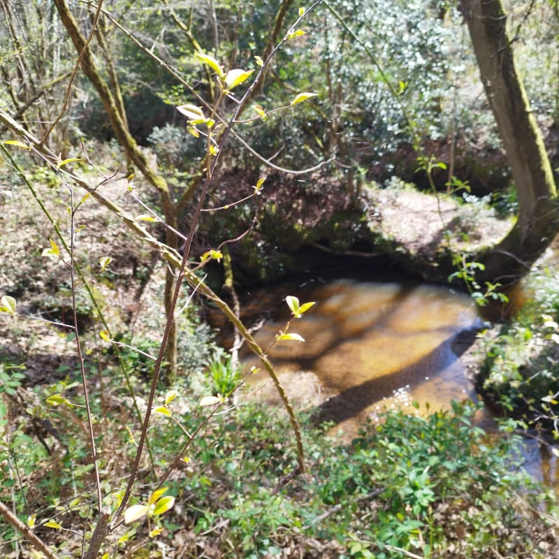 Balade à Saint Médard en Jalles - Saint-Médard-en-Jalles