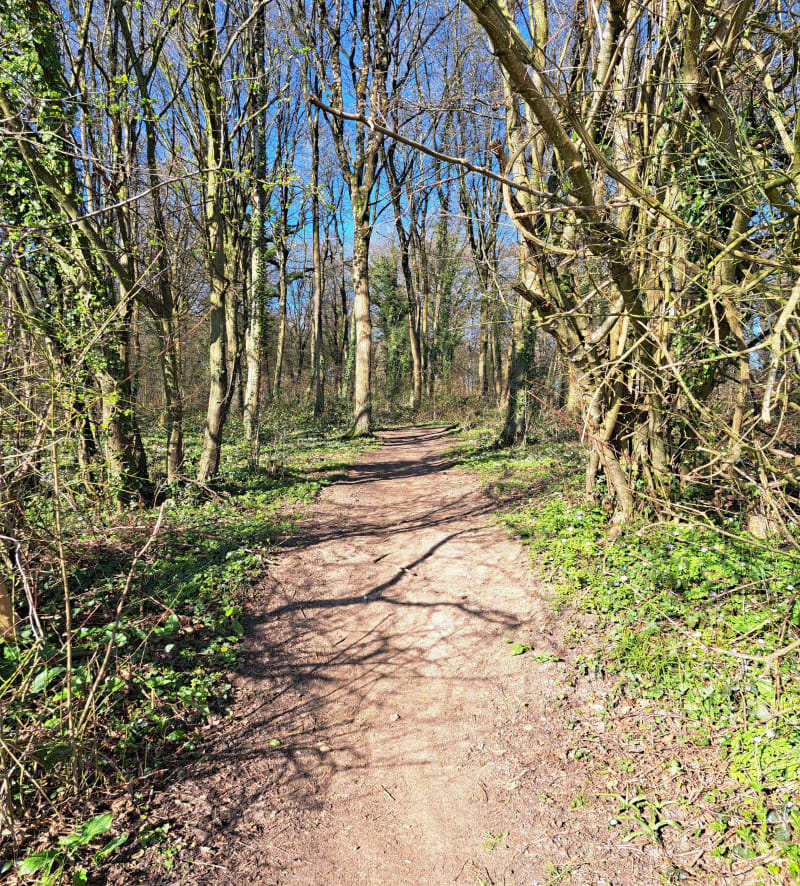 Balade à travers champs et foret de Guines - Campagne-lès-Guines