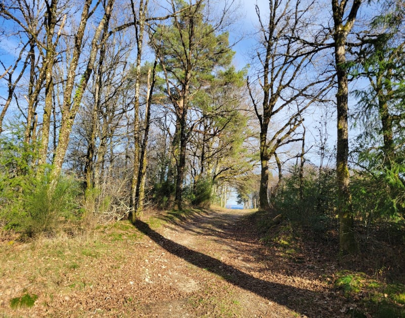 Ascension sportive vers Saint-Bonnet-Elvert et belle récompense au sommet - Saint-Sylvain