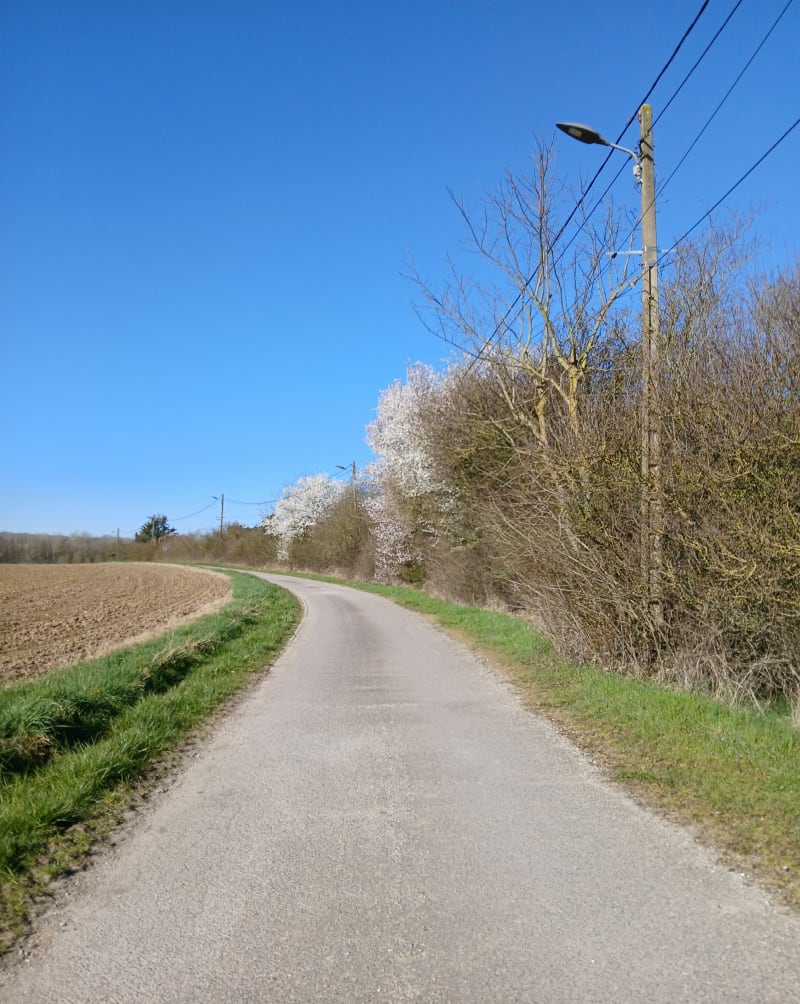 Annet-sur-Marne et ru du Botteret - Annet-sur-Marne