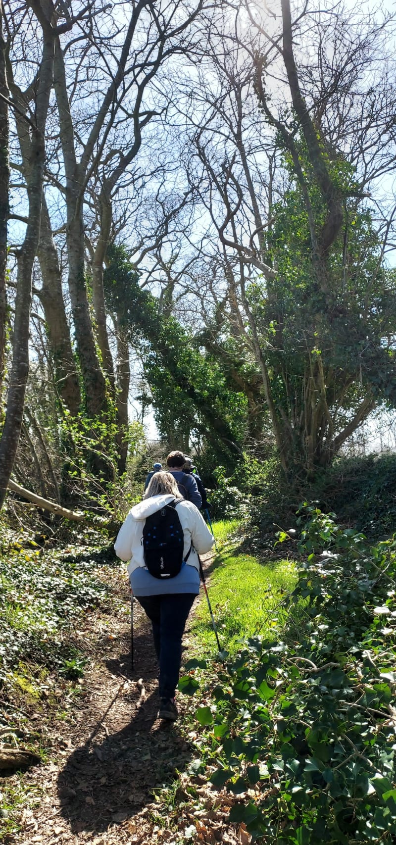 Alentours de Louannec par les petits chemins - Louannec