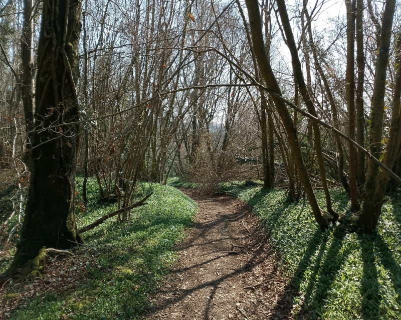 Balade à Plessis Grimoult - Les Monts d'Aunay