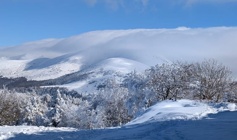 Col du Bozat au départ de Mont-Dore - Mont-Dore