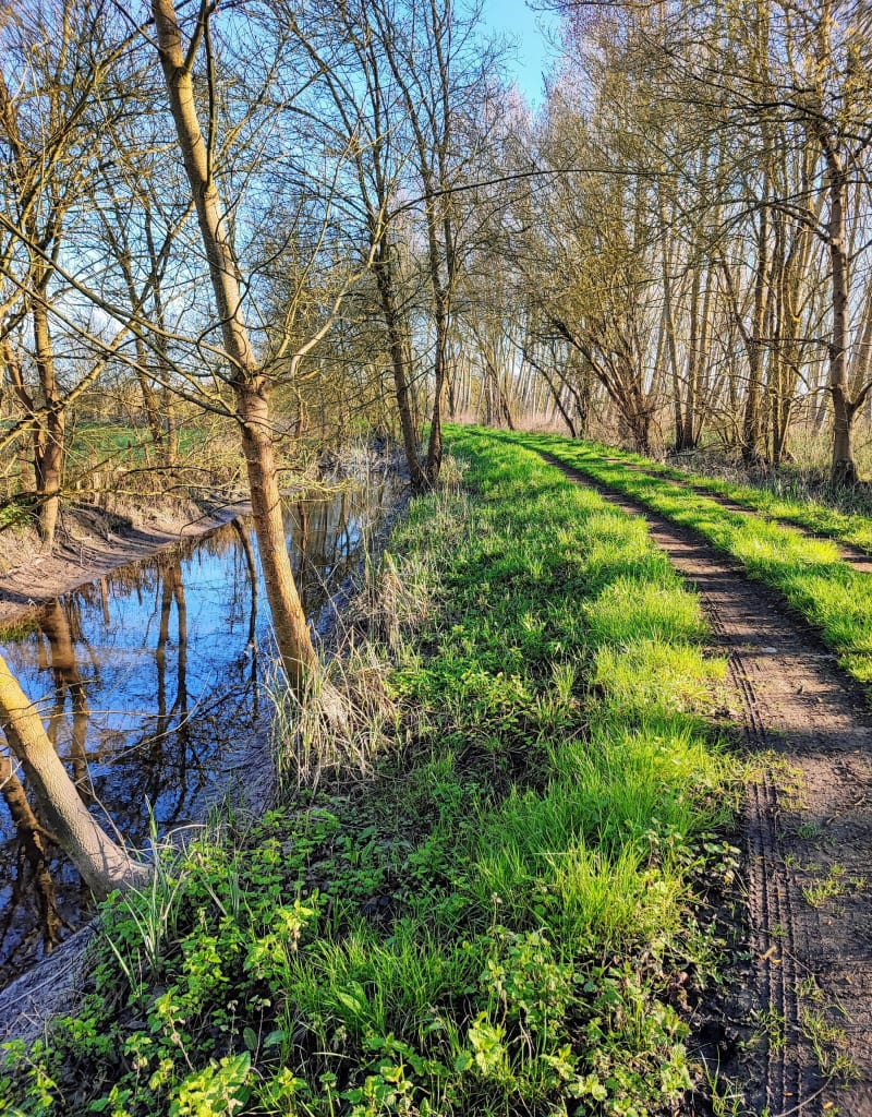 Boucle entre Andard et Saint Mathurin - Loire-Authion