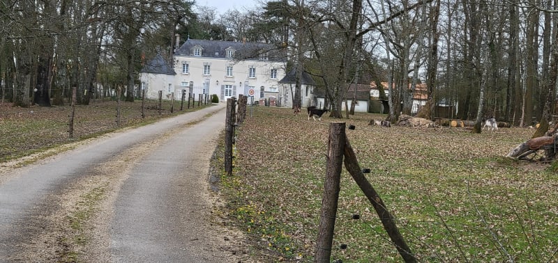 A l'est des Sorinières vers Vertou - Les Sorinières