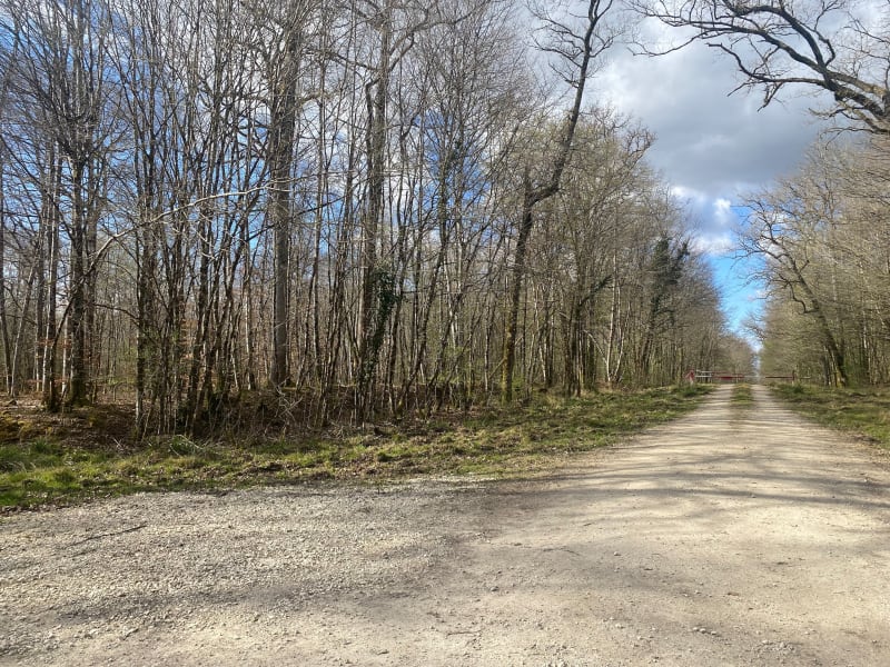 Balade forêt du Val et Fosse Fadoue - Saint-Dizier