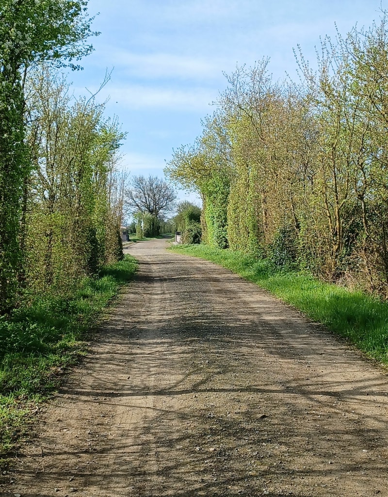 Boucle de Vihiers à Saint Hilaire ( la chapelle richard) - Lys-Haut-Layon