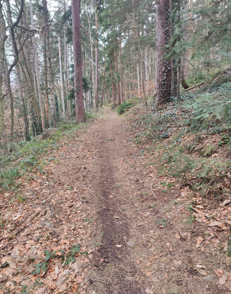 Entre forêt et champs à Saulzet-le Chaud - Ceyrat