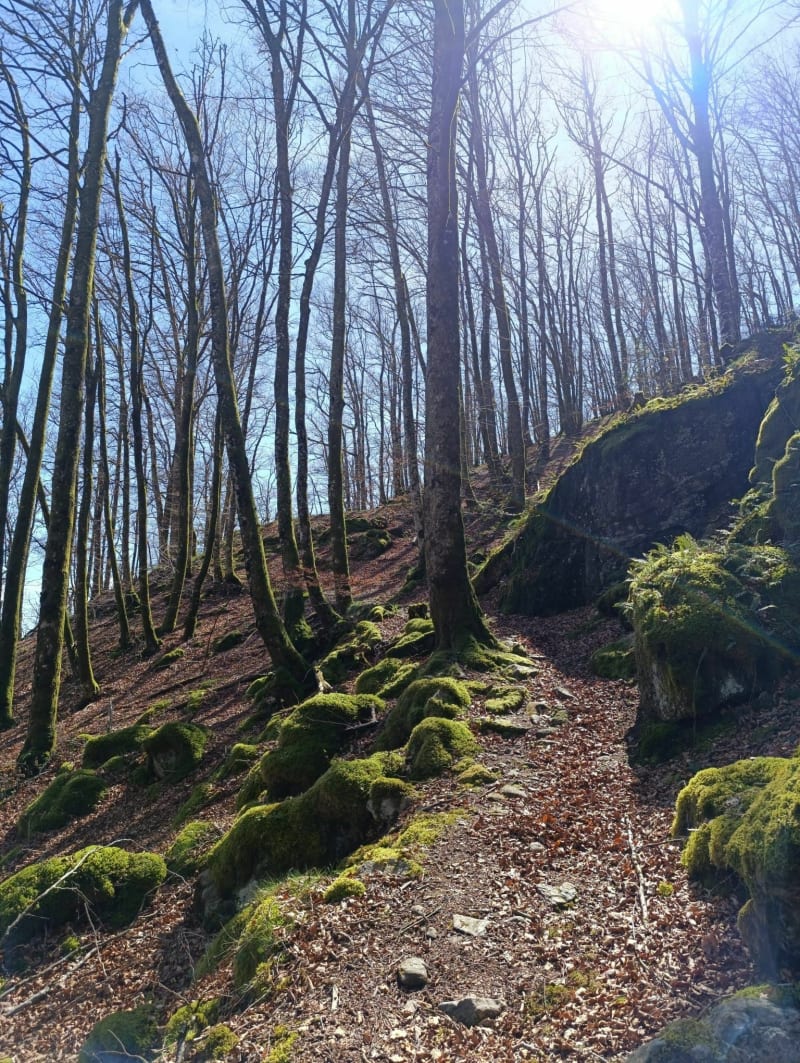 Les gorges du banquet - Le Vintrou