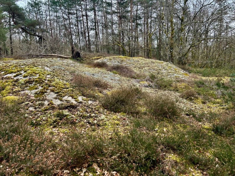 Randonnée au rocher de La Muette Compreignac - Compreignac