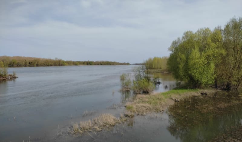 Le Thoureil - Gennes-Val-de-Loire