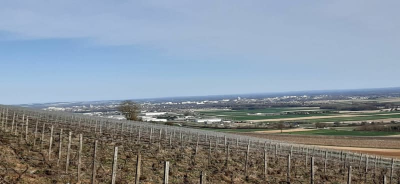 Montgueux et ses vignes - Montgueux