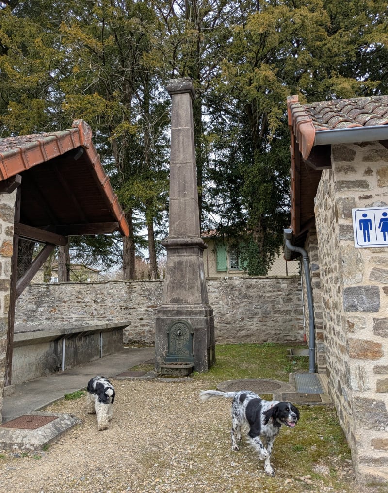 Le Puy du Thé depuis Neuvic-Entier - Neuvic-Entier