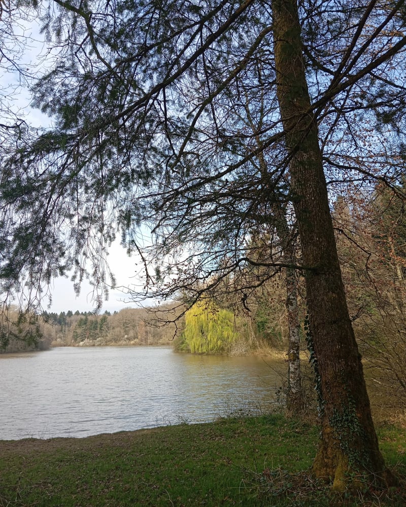 Étang du Patouillet en passant par Evans - Dampierre
