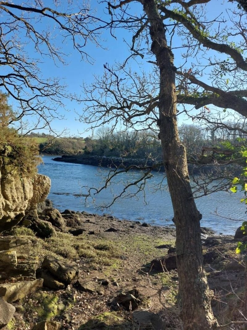 De Bel air Brélès par Lanildut et retour chemin côtier - Brélès