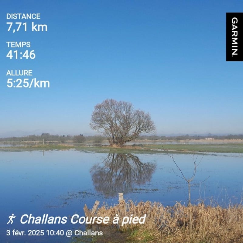 Boucle des marais - Challans