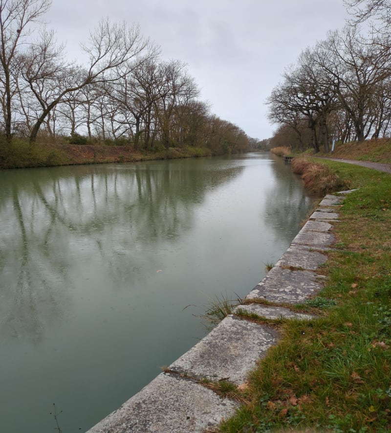 Bord du canal du Midi - Pennautier