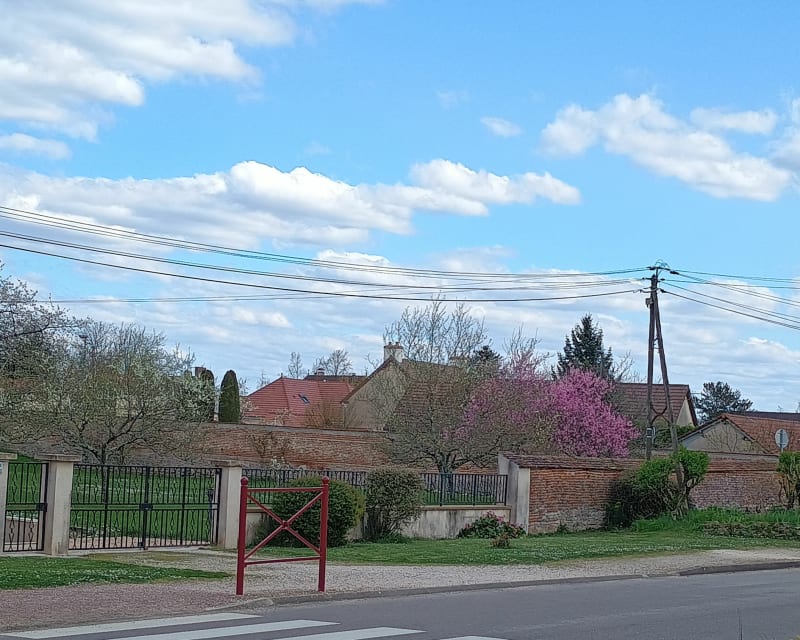 Boucle au départ de Pluvault - Longeault-Pluvault