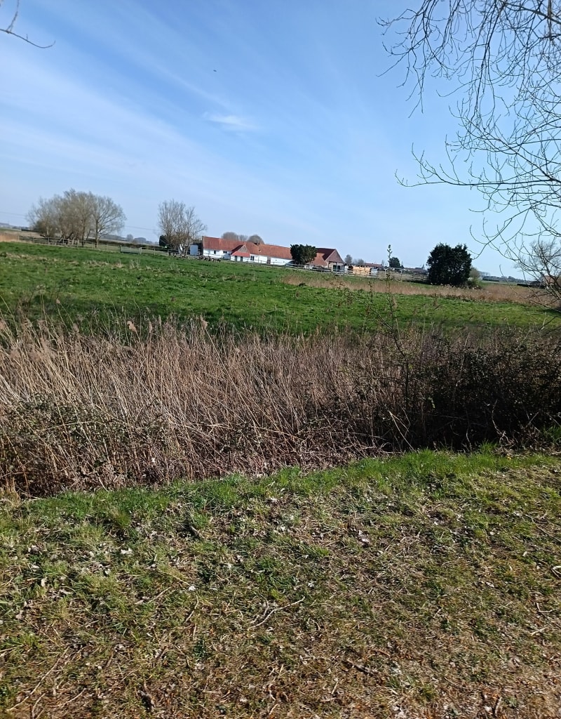 Chemin du Vliet - Cappelle-Brouck