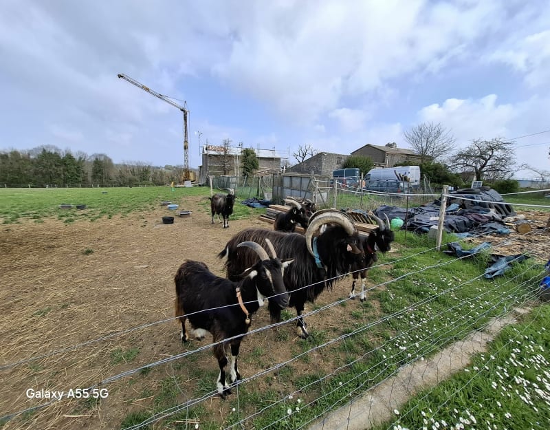 Marsac Charente, par Lagroux - Marsac