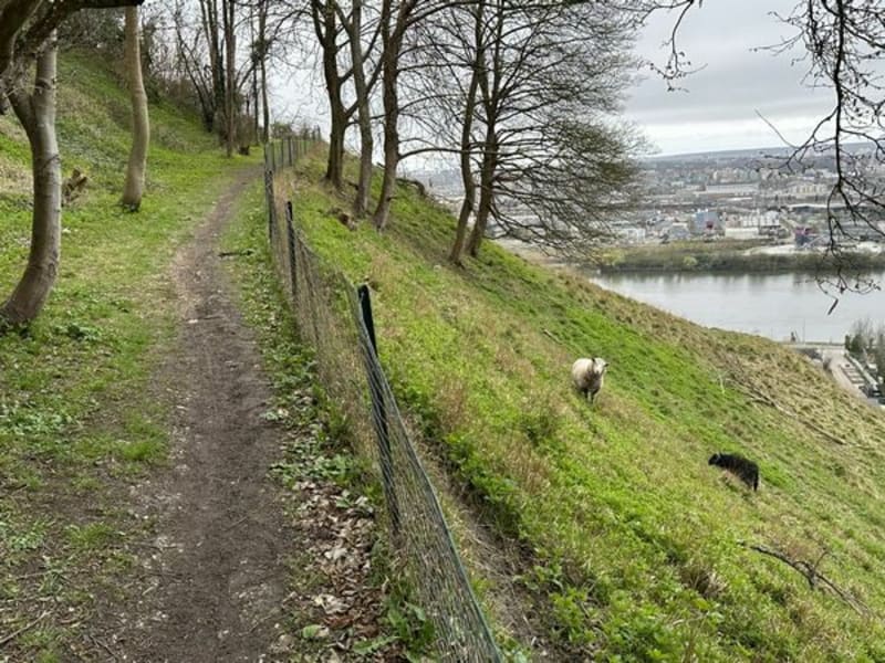 Vtt Bonsecours Franquevilette Saint Adrien - Bonsecours