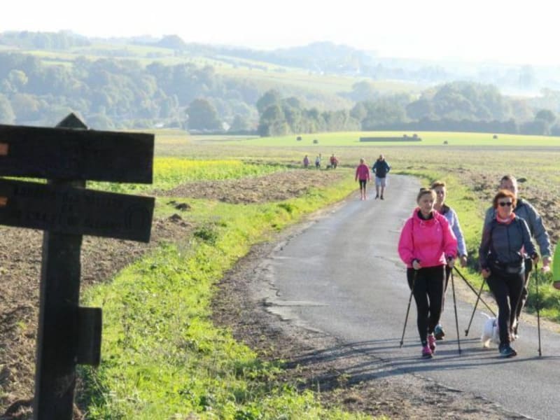 Marche autour de Seninghem - Seninghem