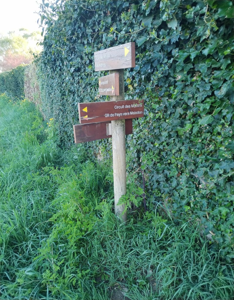 Monnières à l'ombre, par le Moulin - Monnières