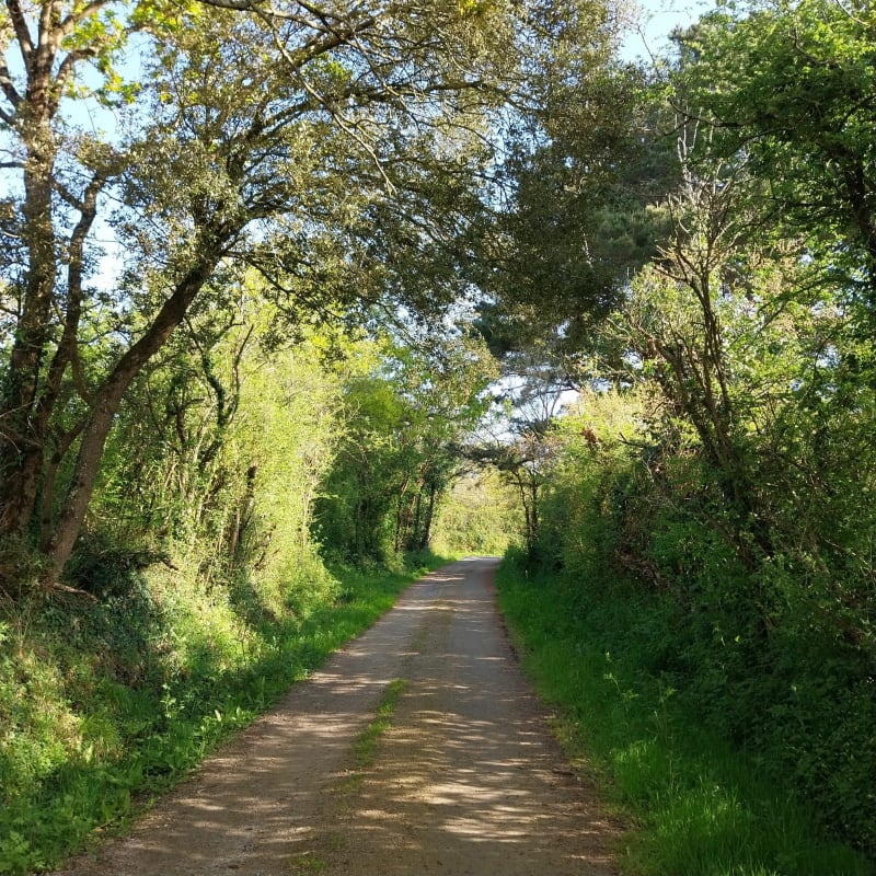 Entre La Plaine-sur-Mer et Tharon - La Plaine-sur-Mer
