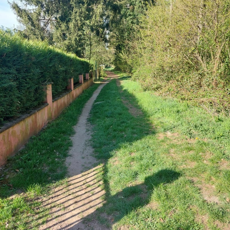 Boucle à partir de la rue des Juifs, par Kirchlach - Schirrhoffen