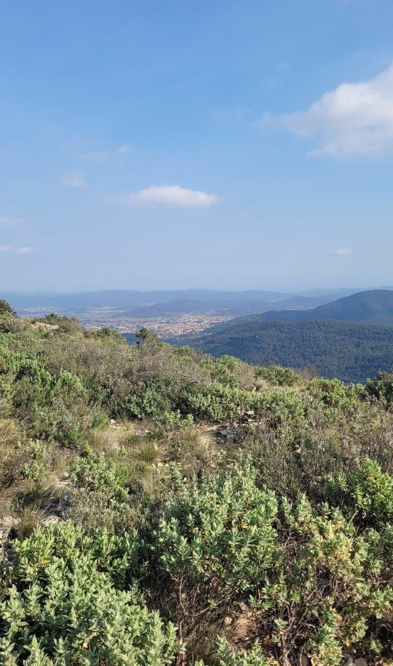 Tour du pas de Cuers - Néoules