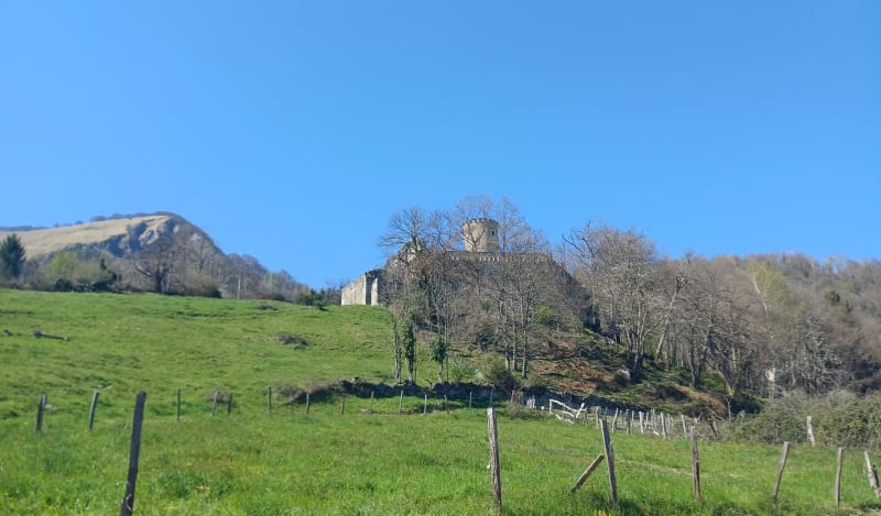 Mont de Gez en partant du Château d Arras en Lavedan - Arras-en-Lavedan