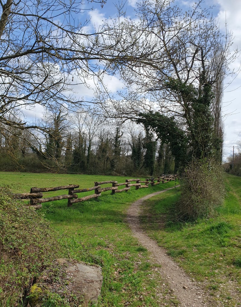 Étang de la Besseye - Villemoirieu
