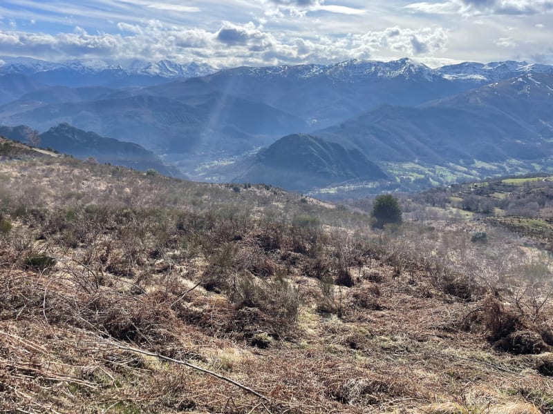 Boucle autour du roc du Traucadou et son beau panorama - Montoulieu