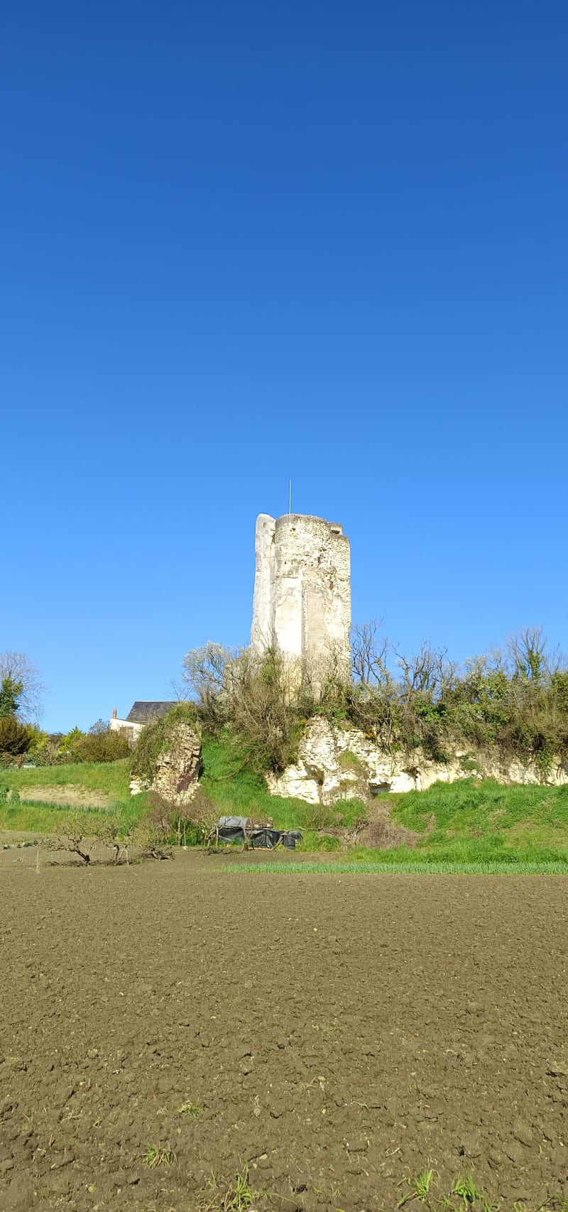 Balade du Haut Clairvaux - Scorbé-Clairvaux
