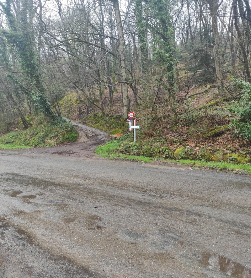 Balade dans Montfort avec enfants - Montfort-sur-Meu
