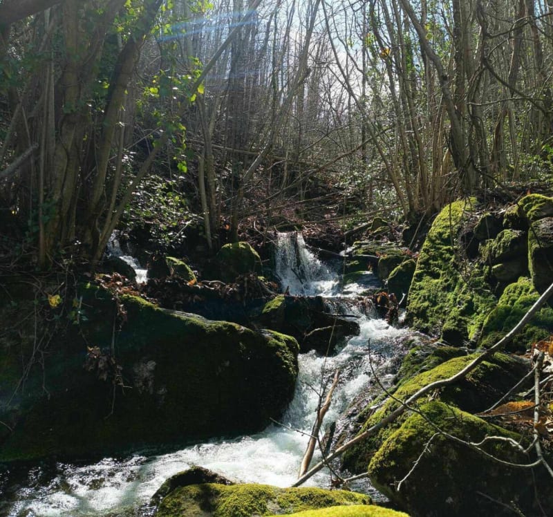 Montée au Piló de Belmaig - Arles-sur-Tech