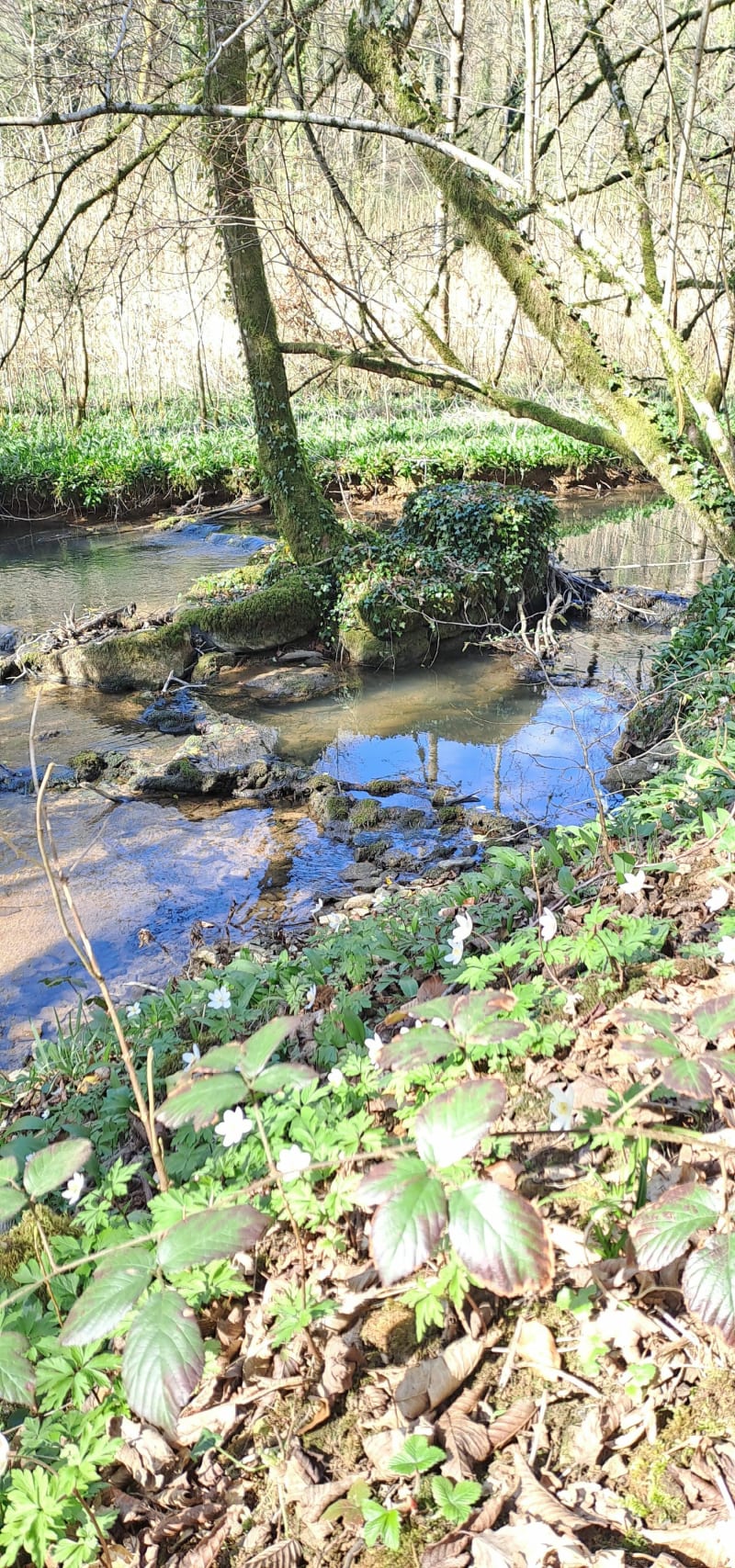 Vallée de la Crusnes - Serrouville