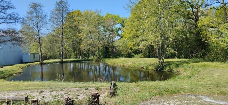 A travers 3 communes, de Saint-Lumine-de-Clisson - Saint-Lumine-de-Clisson