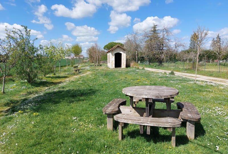 Chemins ruraux des fontaines aux hauts de Port d'Envaux - Port-d'Envaux