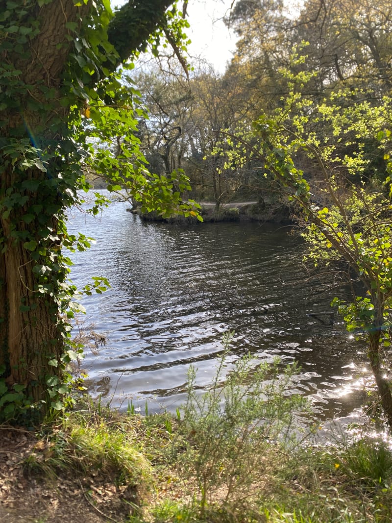Balade Étang du Ter - Lorient