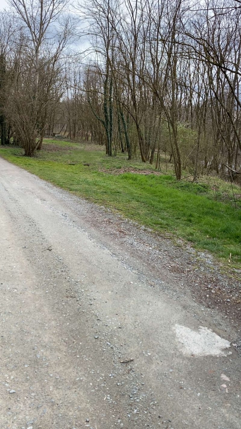 Promenade à Boën et ses alentours - Boën-sur-Lignon
