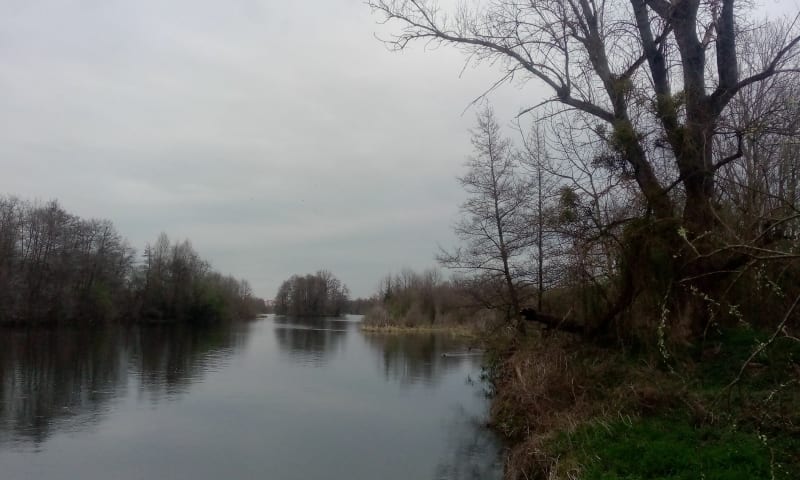 Petit tour du bord de Loire, Le Coteau - Le Coteau