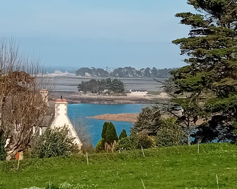 Entre Port Blanc  et Penvenan - Penvénan